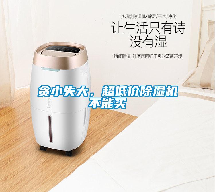 貪小失大，超低價除濕機不能買