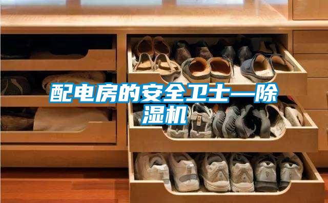 配電房的安全衛(wèi)士—除濕機(jī)