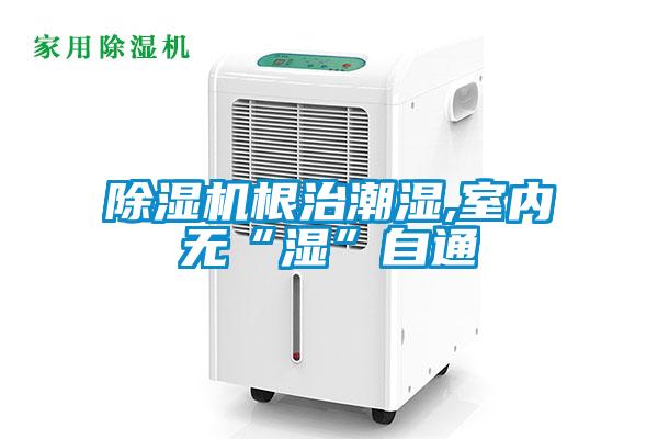 除濕機根治潮濕,室內無“濕”自通