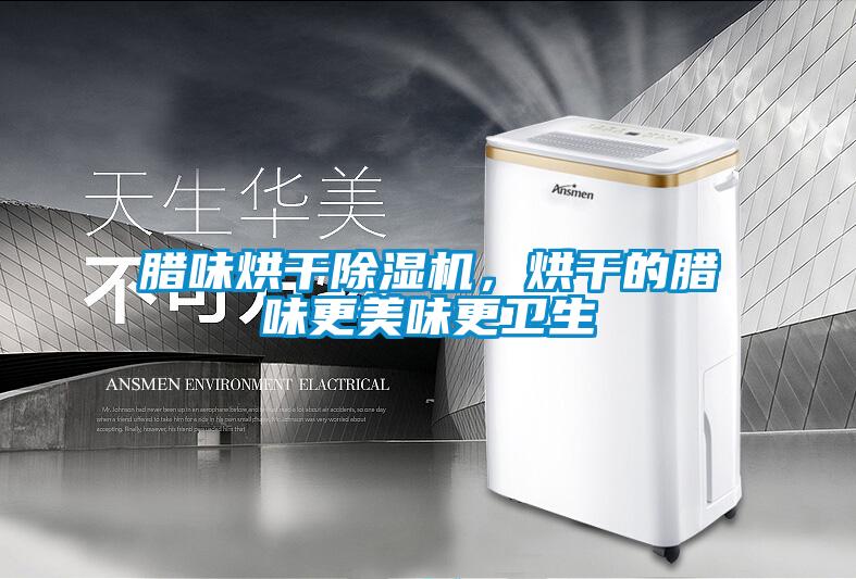 臘味烘干除濕機，烘干的臘味更美味更衛生