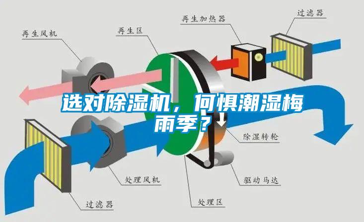 選對除濕機，何懼潮濕梅雨季？