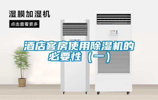 酒店客房使用除濕機(jī)的必要性（一）