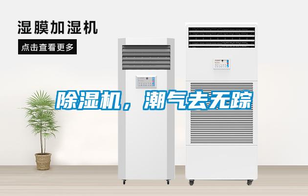 除濕機，潮氣去無蹤