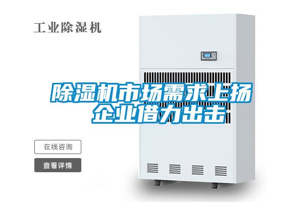 除濕機(jī)市場需求上揚(yáng) 企業(yè)借力出擊