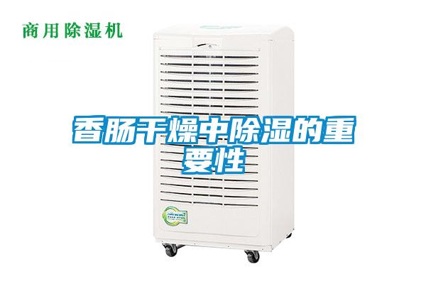 香腸干燥中除濕的重要性