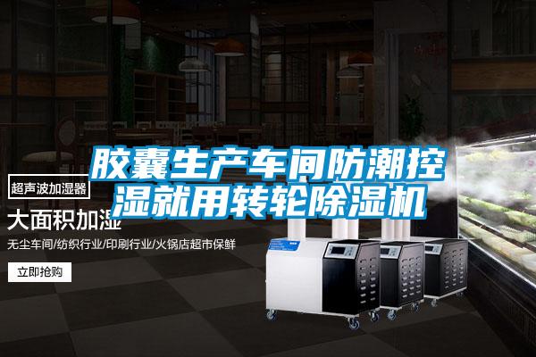 膠囊生產車間防潮控濕就用轉輪除濕機