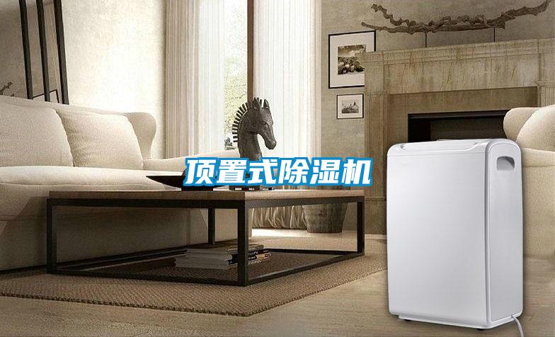 頂置式除濕機
