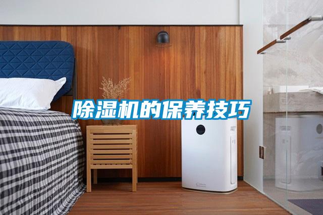 除濕機(jī)的保養(yǎng)技巧
