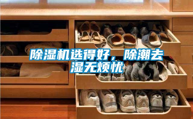 除濕機選得好，除潮去濕無煩憂
