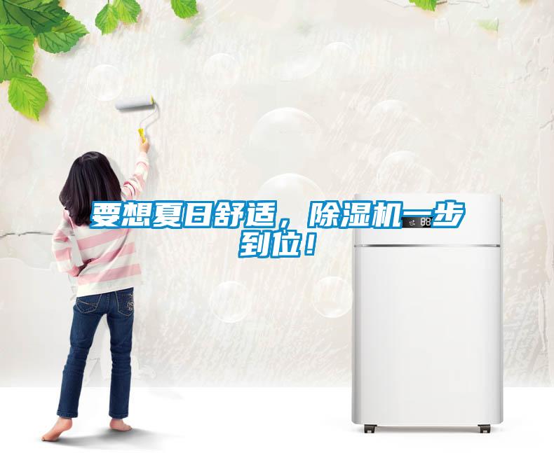 要想夏日舒適，除濕機一步到位！