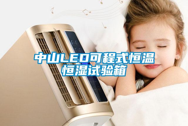 中山LED可程式恒溫恒濕試驗箱