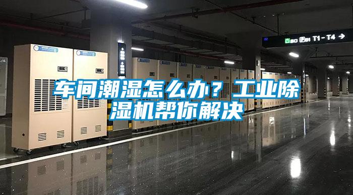 車間潮濕怎么辦？工業除濕機幫你解決