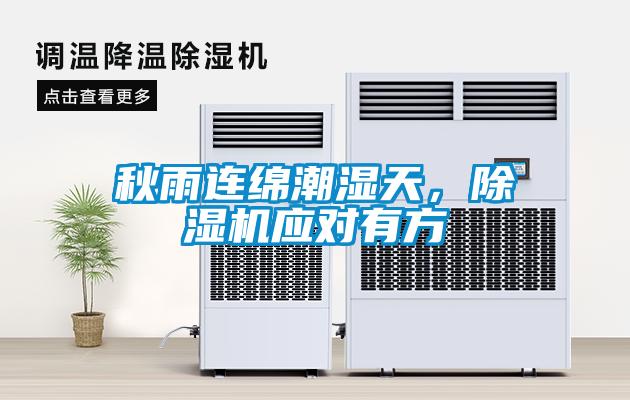 秋雨連綿潮濕天，除濕機應對有方