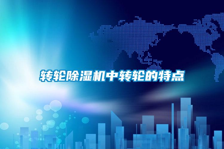 轉輪除濕機中轉輪的特點