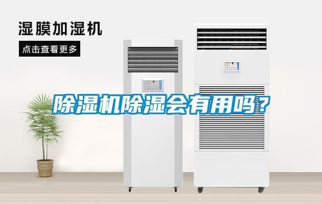 除濕機除濕會有用嗎？