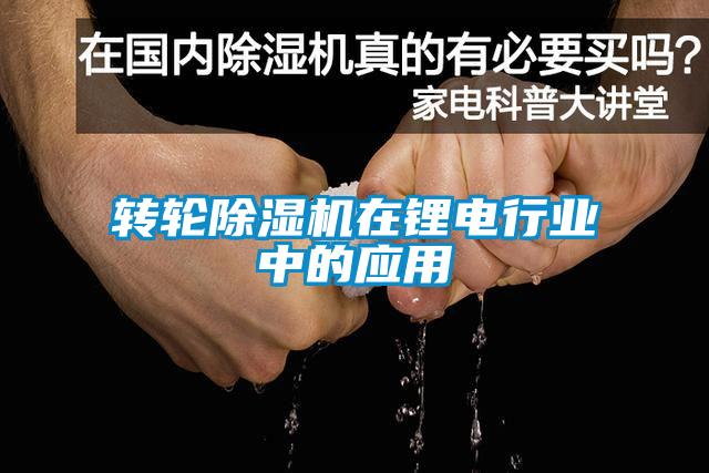 轉輪除濕機在鋰電行業中的應用