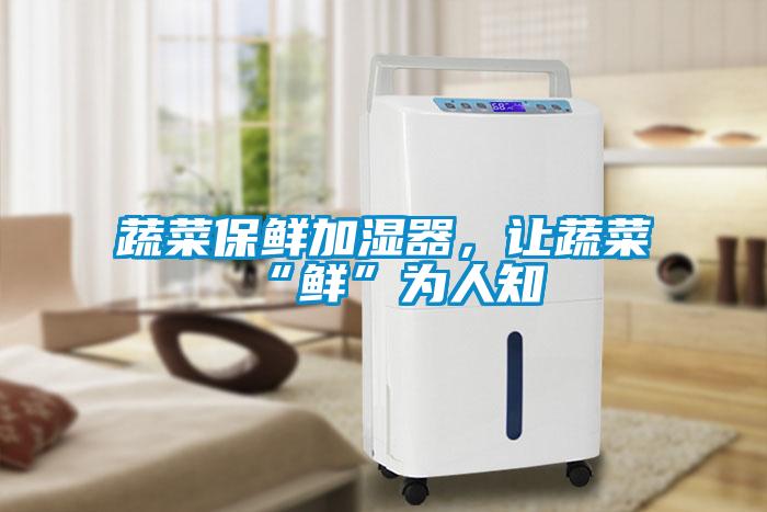 蔬菜保鮮加濕器，讓蔬菜“鮮”為人知