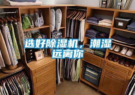 選好除濕機，潮濕遠離你