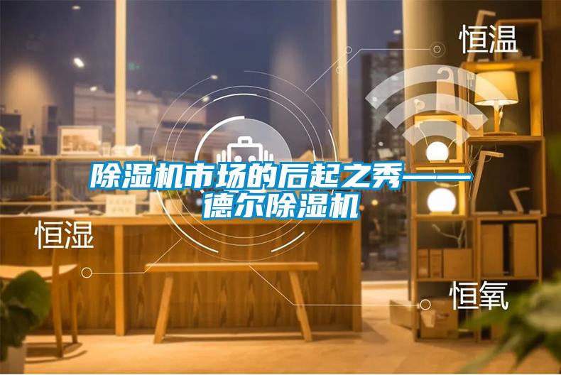 除濕機(jī)市場的后起之秀——德爾除濕機(jī)