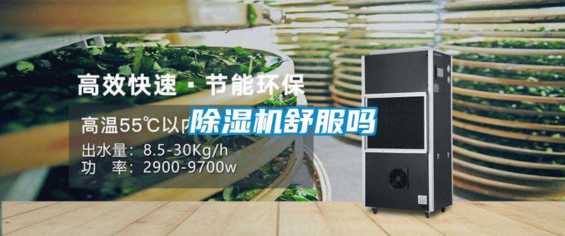 除濕機舒服嗎