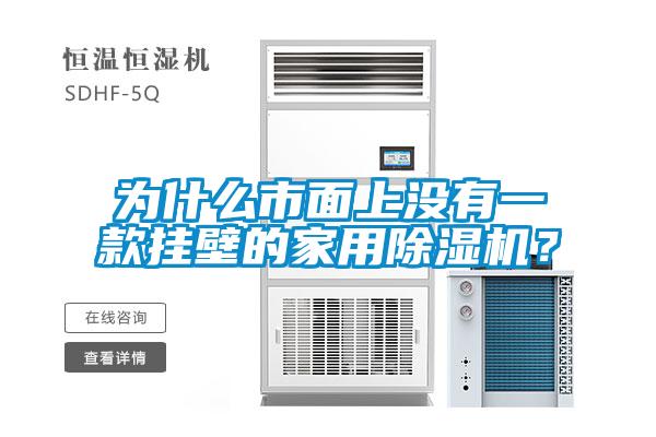 為什么市面上沒有一款掛壁的家用除濕機？