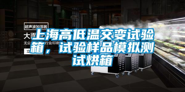 上海高低溫交變試驗箱，試驗樣品模擬測試烘箱