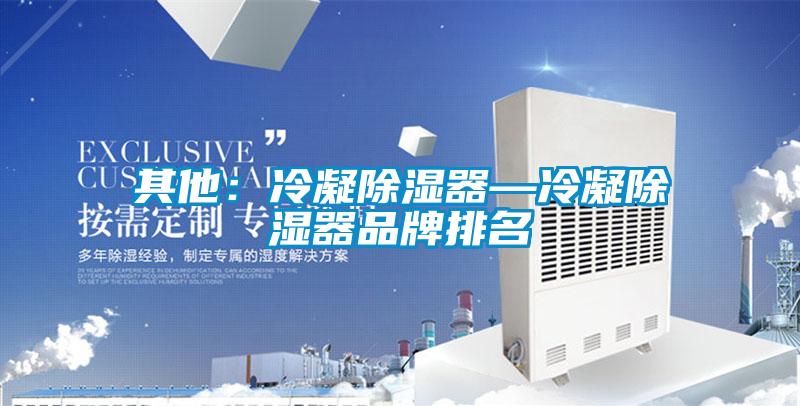 其他：冷凝除濕器—冷凝除濕器品牌排名