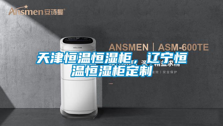 天津恒溫恒濕柜，遼寧恒溫恒濕柜定制