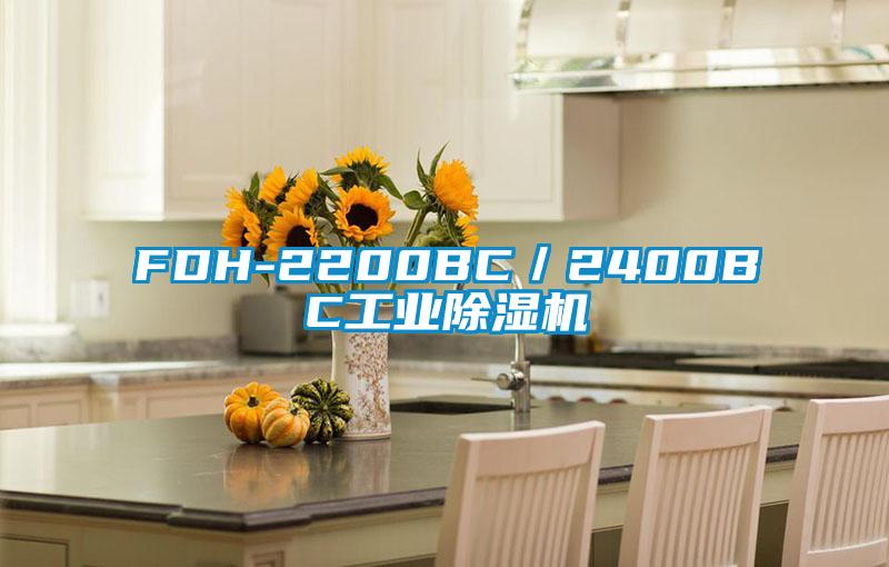 FDH-2200BC／2400BC工業(yè)除濕機(jī)