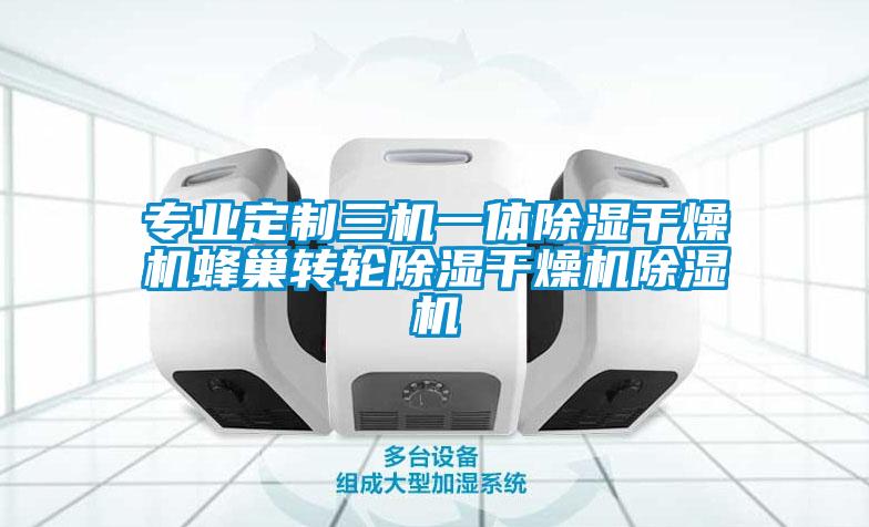 專業定制三機一體除濕干燥機蜂巢轉輪除濕干燥機除濕機