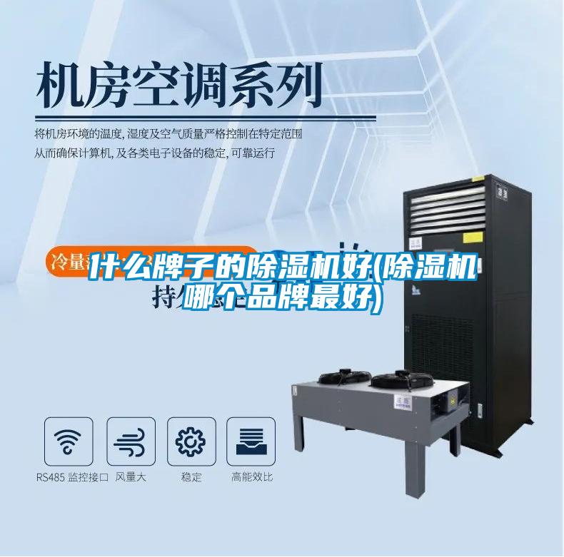 什么牌子的除濕機好(除濕機哪個品牌最好)
