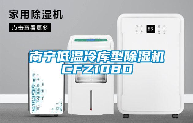 南寧低溫冷庫型除濕機CFZ10BD