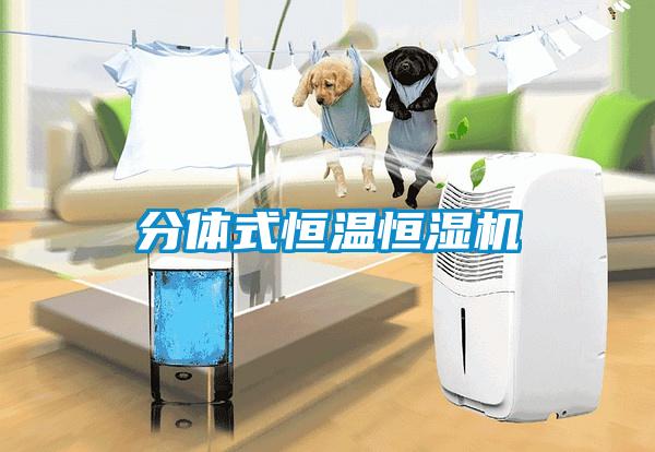 分體式恒溫恒濕機