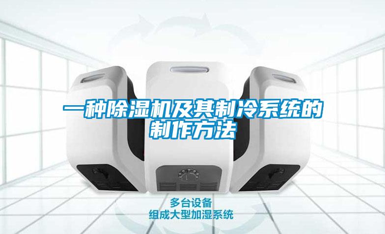 一種除濕機及其制冷系統的制作方法