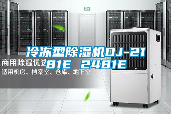 冷凍型除濕機(jī)DJ-2181E 2481E