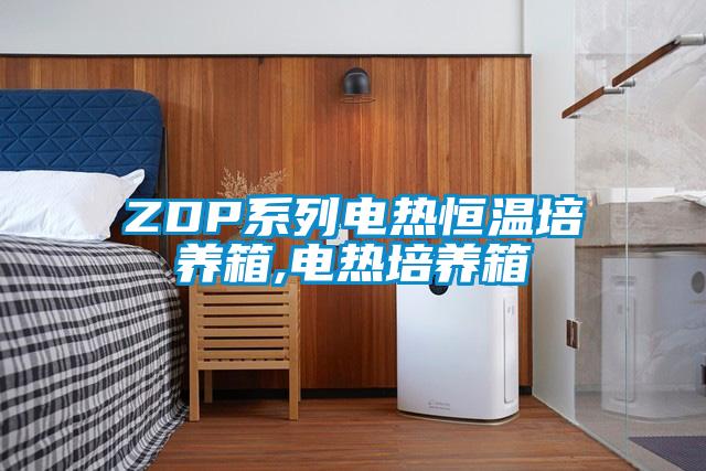 ZDP系列電熱恒溫培養(yǎng)箱,電熱培養(yǎng)箱