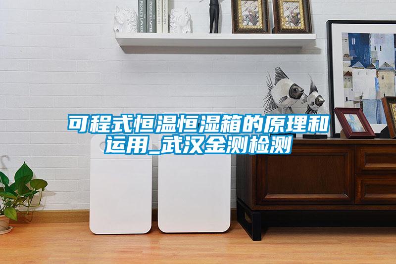 可程式恒溫恒濕箱的原理和運用_武漢金測檢測