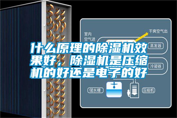 什么原理的除濕機效果好，除濕機是壓縮機的好還是電子的好