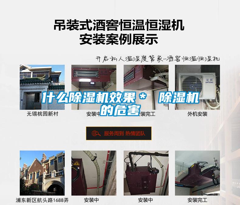 什么除濕機效果＊ 除濕機的危害