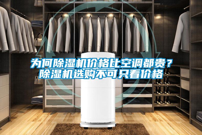 為何除濕機價格比空調都貴？除濕機選購不可只看價格