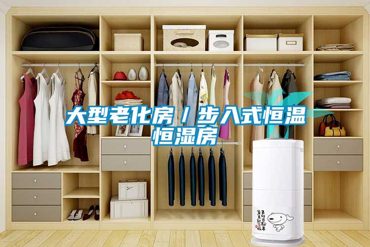 大型老化房／步入式恒溫恒濕房