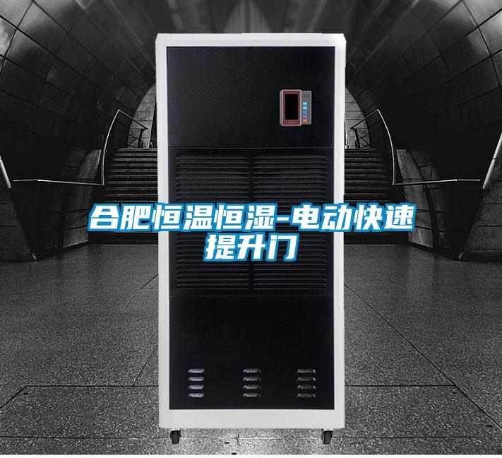 合肥恒溫恒濕-電動快速提升門