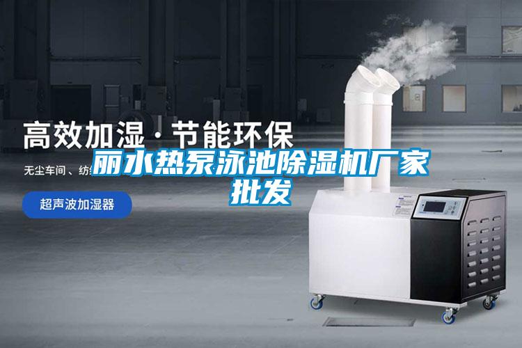 麗水熱泵泳池除濕機廠家批發(fā)