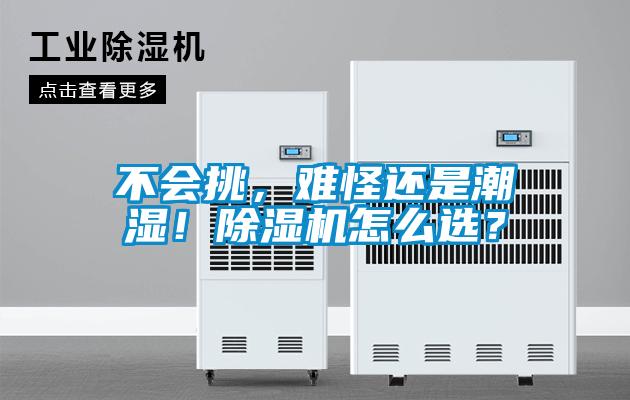 不會挑，難怪還是潮濕！除濕機怎么選？