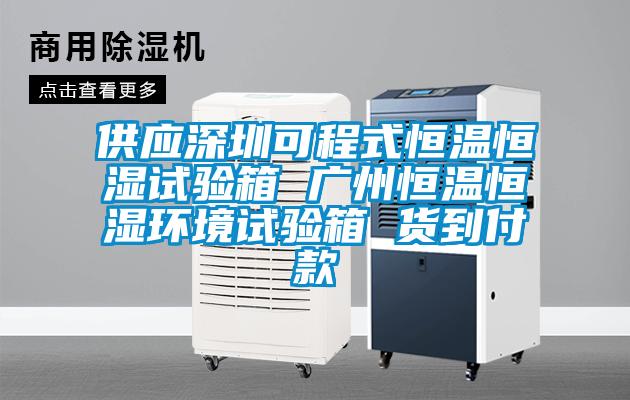 供應深圳可程式恒溫恒濕試驗箱 廣州恒溫恒濕環境試驗箱 貨到付款