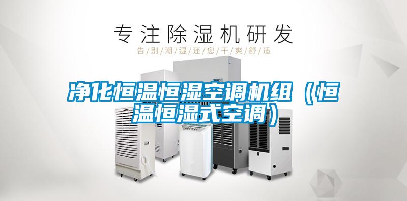 凈化恒溫恒濕空調機組（恒溫恒濕式空調）