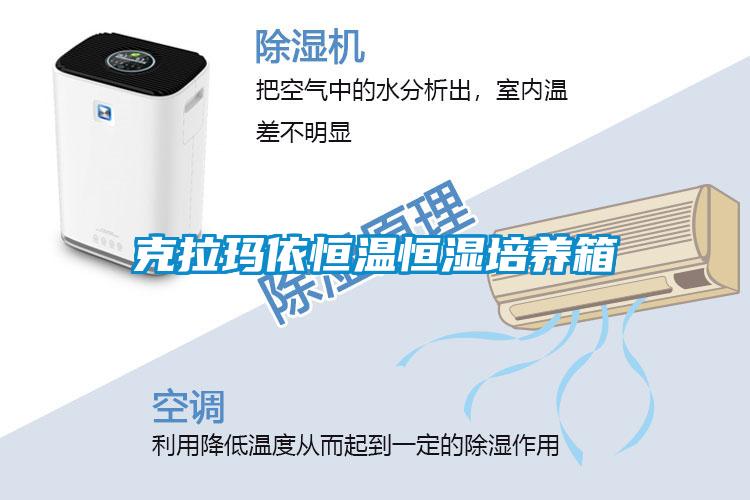 克拉瑪依恒溫恒濕培養(yǎng)箱