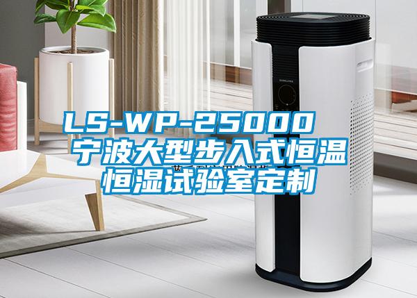 LS-WP-25000  寧波大型步入式恒溫恒濕試驗室定制