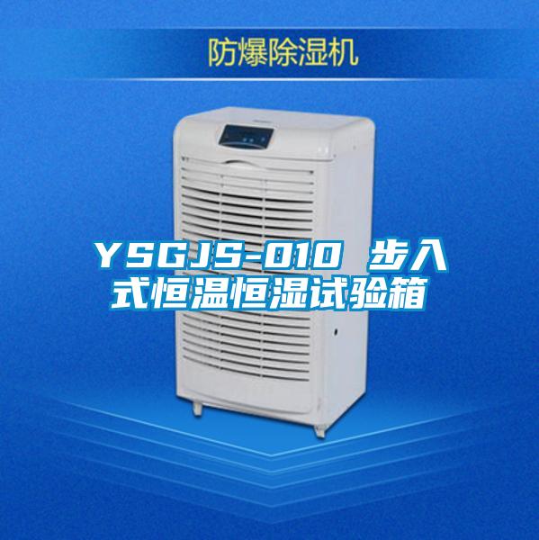 YSGJS-010 步入式恒溫恒濕試驗箱