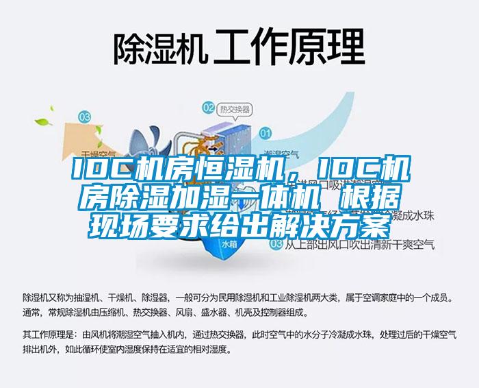 IDC機房恒濕機，IDC機房除濕加濕一體機 根據現場要求給出解決方案